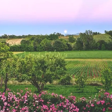 Cascina Maneggia, Countryhouse In Monferrato. Carpeneto
