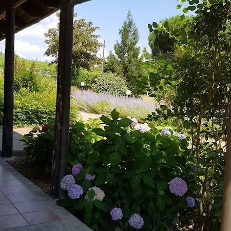 Villa Cascina Maneggia, Countryhouse In Monferrato. *