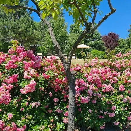 Villa Cascina Maneggia, Countryhouse In Monferrato. Carpeneto
